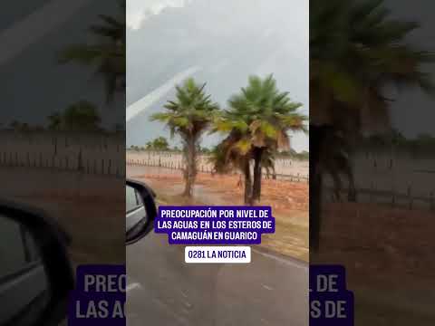 PREOCUPACIÓN POR LOS NIVELES DE AGUA EN LOS ESTEROS DE CAMAGUÁN EN EL ESTADO GUÁRICO 