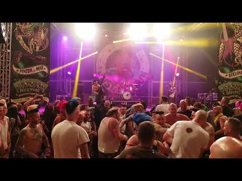 THE PSYCLOCKS – "Just Go Wild!" | Psychobilly Meeting 2018 (Wrecking Pit, Pineda de Mar)