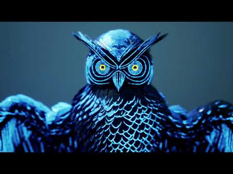 Blasterjaxx & Dr Phunk - Insomniacs (feat. Maikki) [Official Music Video]