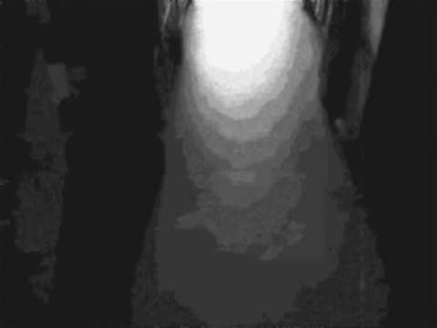 Linn-Henley Research Library Video 1