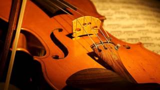 City Boy - The Violin