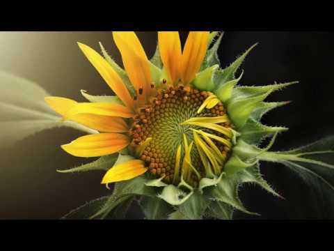 CH10 1.7.  Dominic James Earle - Martin Azari  1:0