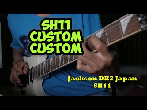 Seymour duncan Sh11 VS Sh4 JB jackson Dinky DK2S