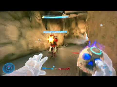 “A Fellow of Infinite Jest Achievement”