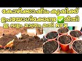 ജൈവവളം ഉപയോഗിക്കേണ്ട ശരിയായ രീതി ️ ക�