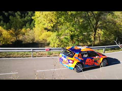 WRC Rallyracc 2019 55 Rally Catalunya-Costa Daurada ¦ Subscribe