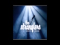 The Stranglers - Dutch Moon [Live Version] 