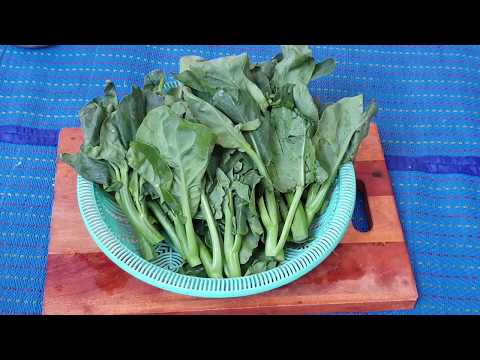 Easy Recipe - Fried Cauliflower - Healthy Food Video