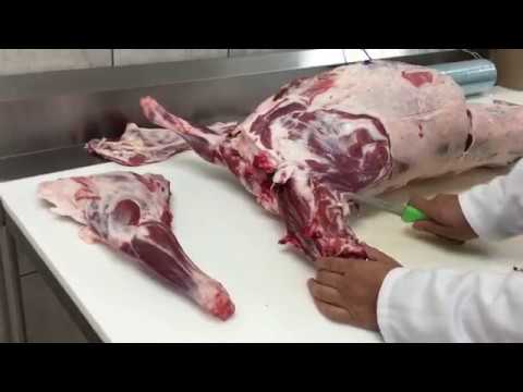 download lagu mp3 mp4 Goat Meat Name, download lagu Goat Meat Name gratis, unduh video klip Goat Meat Name