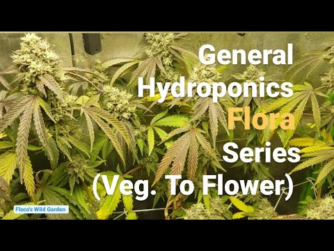 General Hydroponics Flora Series ( Veg To Flower)
