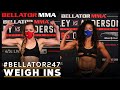 Weigh Ins | Bellator 247