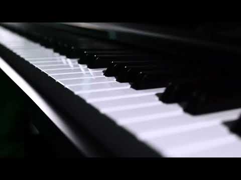 Digital Piano The ONE NEX (Black)