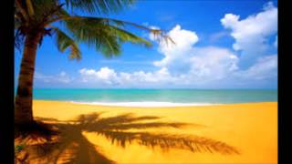 09   Shaggy   Dance & Shout   Summer Hits 2016 by DJ Lemay