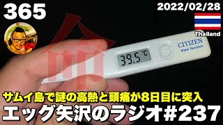 【ラジオ365#237】サムイ島で謎の高熱と頭痛が8日目に突入【2022/02/28】