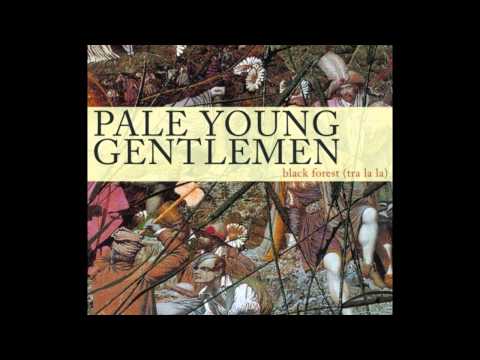 I Wasn't Worried - Pale Young Gentlemen