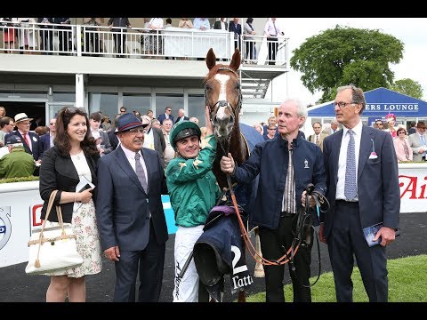 Decorated Knight winning the Group 1 Tattersalls Gold Cup