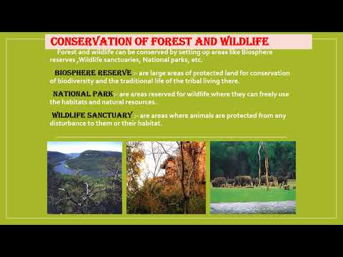 conservation of forest and wildlife