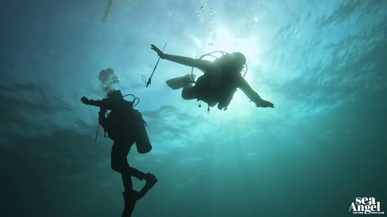 Dive into Tenggol Island with The One Dive Club Sea Angel