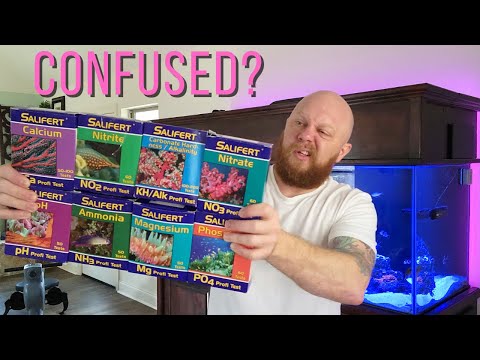 Reef Tank test kits: What do you REALLY need?