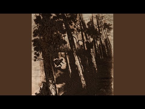 Na Łańskam jyziorze