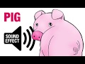 Pig Sound Effect Oink