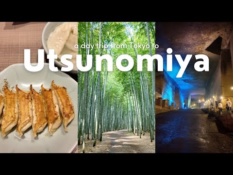 Tokyo Day Trip to Utsunomiya 🚃🥟 Gyoza, Bamboo Forest & Underground Museum 🇯🇵 Travel VLOG 📸