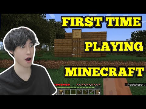 Grown man's First time playing Minecraft