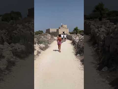 Favignana 🐚 Il nostro angolo di paradiso nel mondo 🌊 #sicilia #mare #spiaggia #vacation #shorts