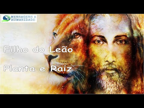 Filho do Leão - Planta e Raiz Letra