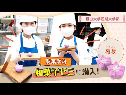 【目白短大】製菓学科：和菓子ゼミに潜入！「桔梗」の作り方、お見せします
