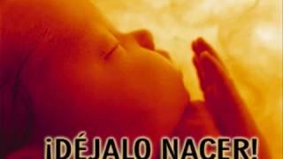 Aventura    El Aborto  letra