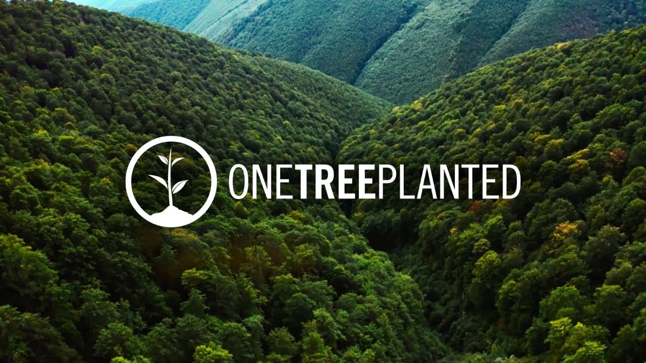 Growing a Greener Future Together | One Tree Planted