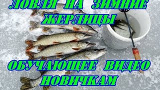 Советы при ловле щуки на жерлицы