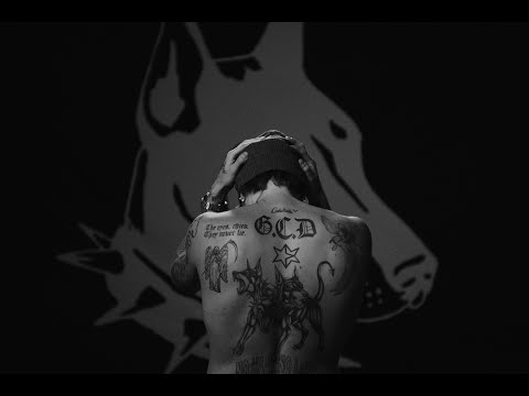 Lauri Haav - No Haav No Love