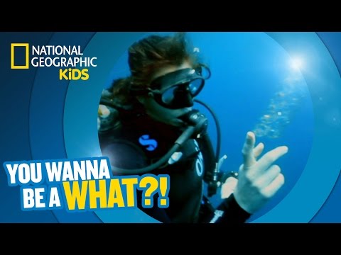 Jellyfish Whisperer | You Wanna Be a What?!