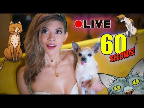 THE CRAZY CAT LADY IS THE WORST - 60 Seconds LIVE