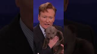 Animal Expert David Mizejewski: black bear &amp; brown cubs