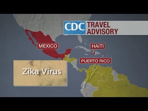 Zika Virus Prompts Travel Warning For Pregnant Women