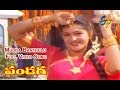 Mudda Banthulu Full Video Song Pandaga ANR Srikanth Raasi ETV Cinema