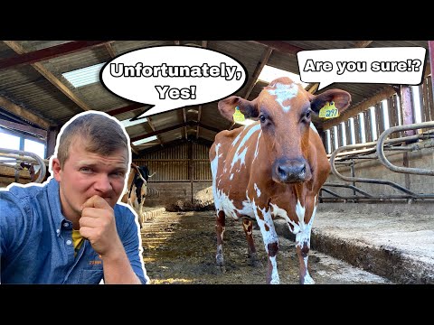 DEVASTATI... IL GIORNO PEGGIORE DELL'ANNO È ARRIVATO!