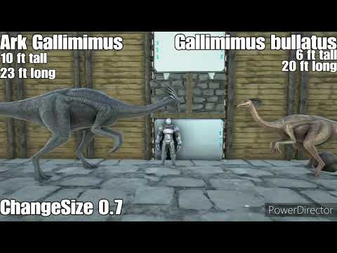 Ark & Real life Size Comparison