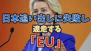 日本追い出しに失敗し、迷走する「EU」#政治 #経済 #ハイブリッドカー #電気自動車 #eu 