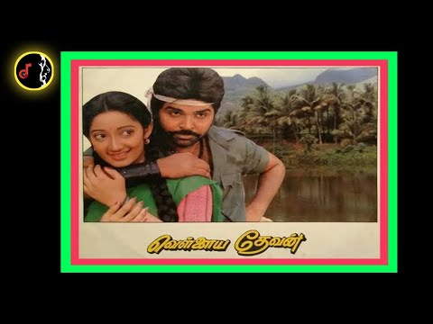 Vaanathil irunthu | வானத்தில் இருந்து | ILAIYARAAJA | Vellaiya Thevan Movie | 1990 | Vinyl