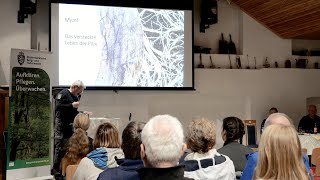 Records & Sensational