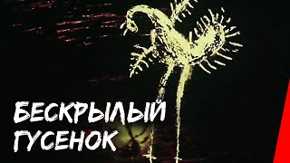 Бескрылый гусенок (1987)