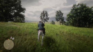 RDR2マッタリ実況＃8