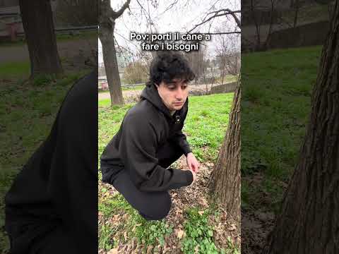 Pov: porti il cane a fare i bisogni🦮 #pov #cane #puppy