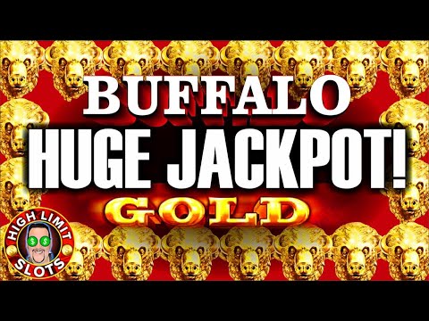 Buffalo Gold High Limit Jackpot Hard Rock  LAS VEGAS Video