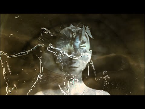 3D. FLY FAMILY NEGO - JE SAMA -  SVOBODA SAMA ,,... / 3D.FLY FAMILY NEGO / revit*1978