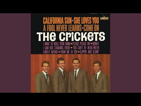 A Fool Never Learns - Crickets The